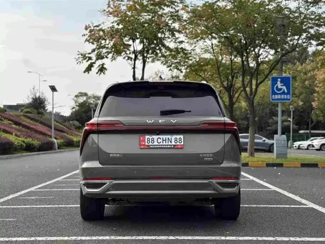 Wey Lanshan — Фото автомобиля 5