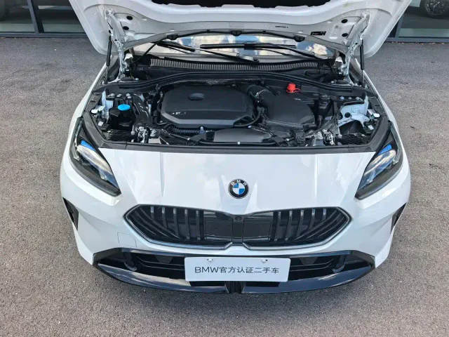 BMW 2 Series — Фото автомобиля 14