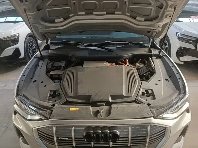 Audi e-tron — Фото автомобиля 19