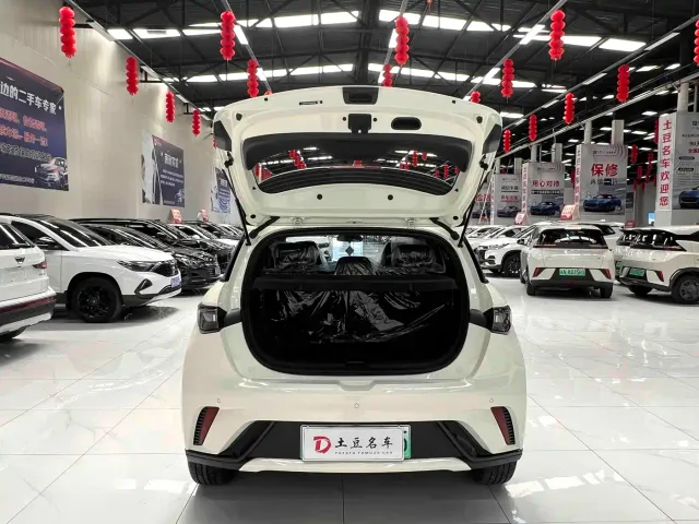 BYD Dolphin — Фото автомобиля 16