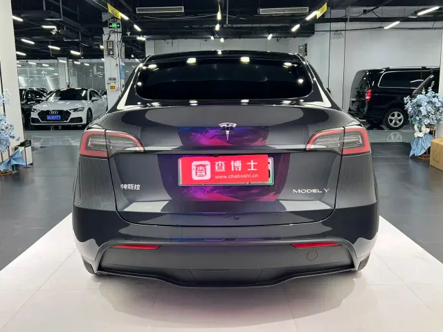 Tesla Model Y — Фото автомобиля 10