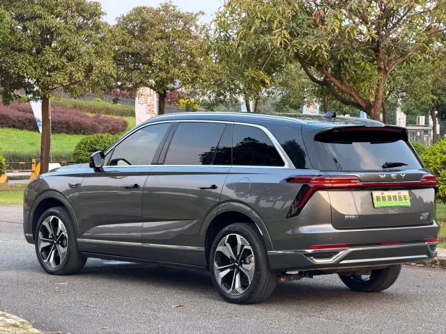 Wey Lanshan — Фото автомобиля 25