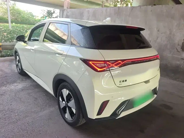 BYD Dolphin — Фото автомобиля 4