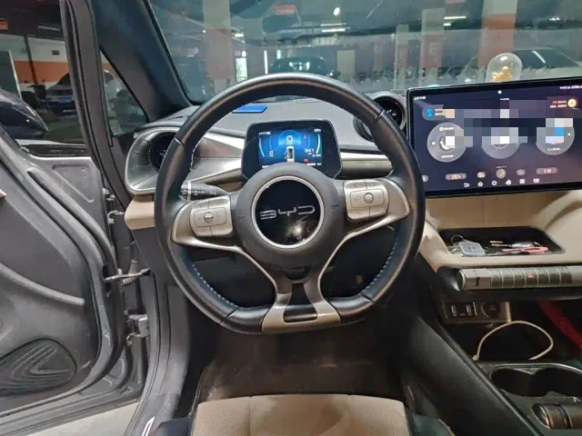 BYD Dolphin — Фото автомобиля 2