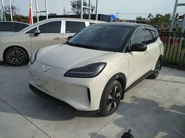 Фотография автомобиля — Wuling Binguo PLUS