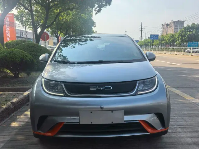 BYD Dolphin — Фото автомобиля 2