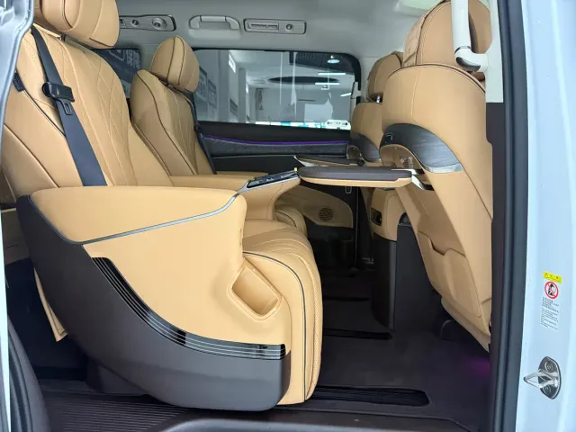 Denza D9 — Фото автомобиля 9
