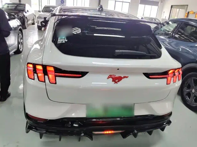 Ford Mustang Mach-E — Фото автомобиля 5