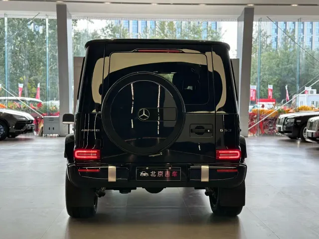 Mercedes-Benz G-Class AMG — Фото автомобиля 9