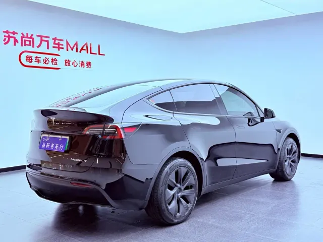 Tesla Model Y — Фото автомобиля 4