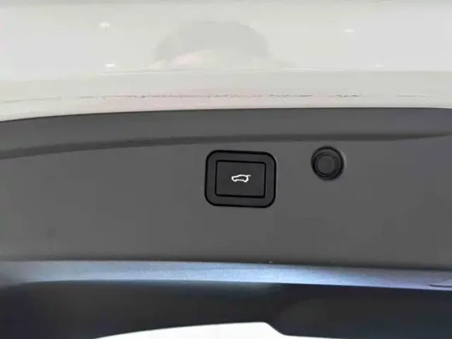Haval Xiaolong MAX — Фото автомобиля 24