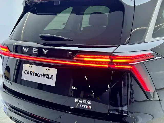 Wey Lanshan — Фото автомобиля 12
