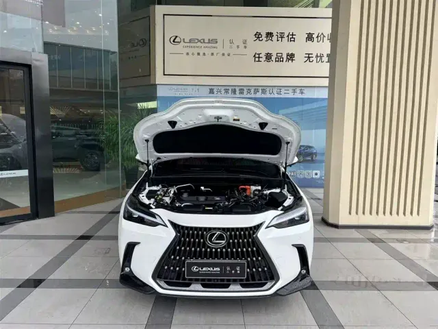 Lexus NX — Фото автомобиля 3