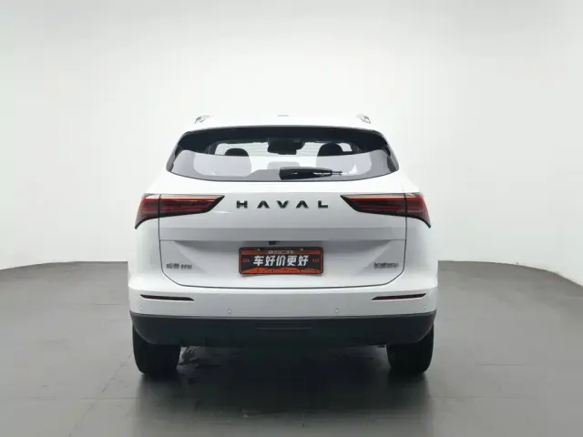 Haval Haval H6 2024 1.5T 2WD Ultra — Фото автомобиля 4