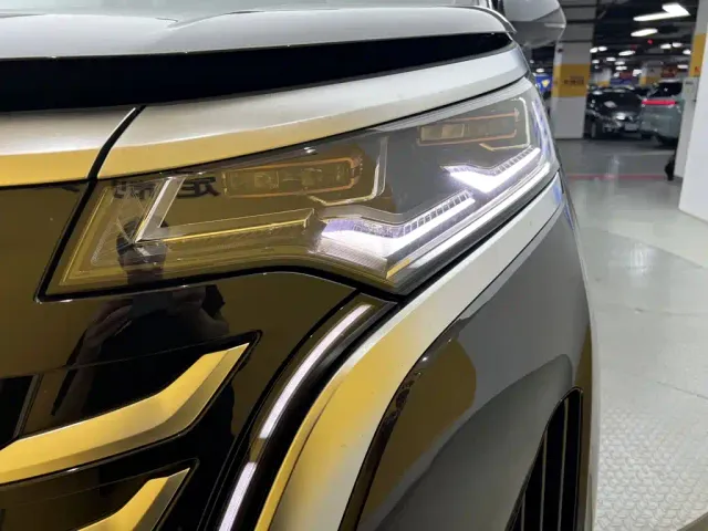 Denza D9 — Фото автомобиля 4