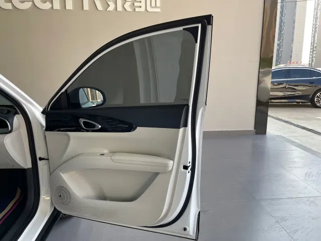 Geely Starry Wish — Фото автомобиля 28