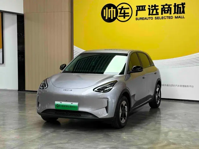 Фотография автомобиля — Geely Starry Wish