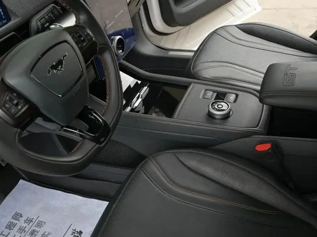 Ford Mustang Mach-E — Фото автомобиля 8