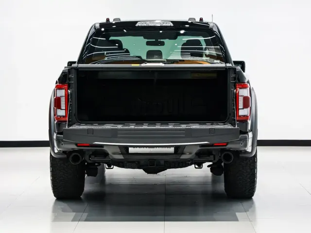 Ford F-150 Raptor — Фото автомобиля 12