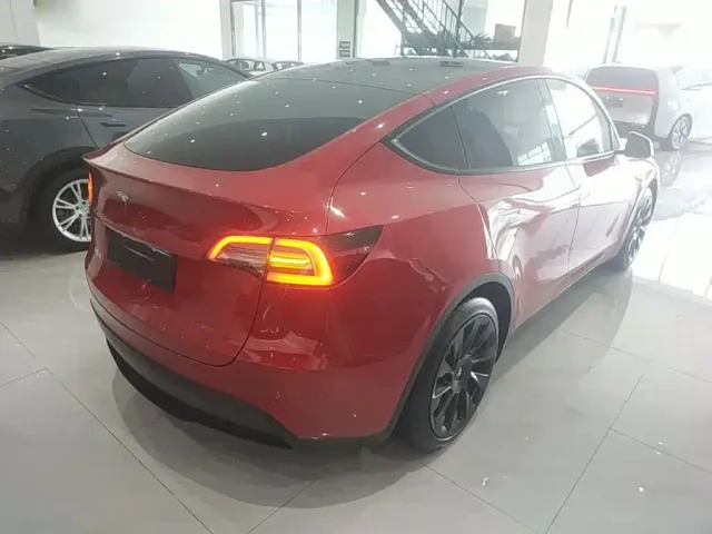 Tesla Model Y — Фото автомобиля 4