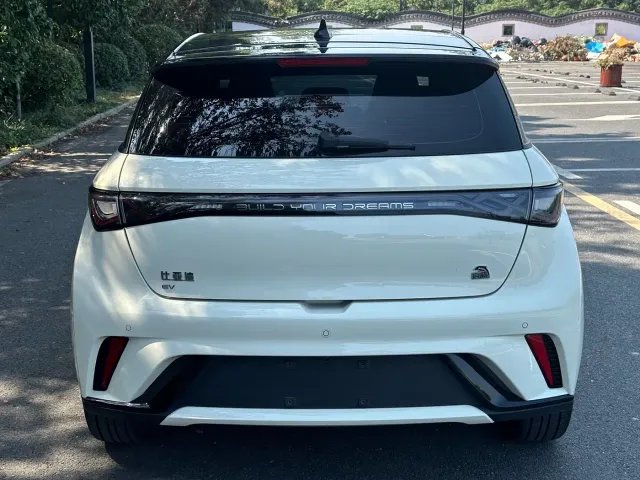 BYD Dolphin — Фото автомобиля 8