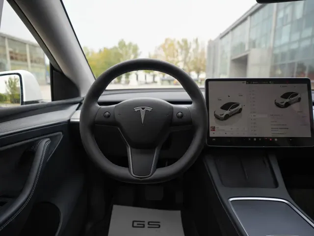 Tesla Model Y — Фото автомобиля 10