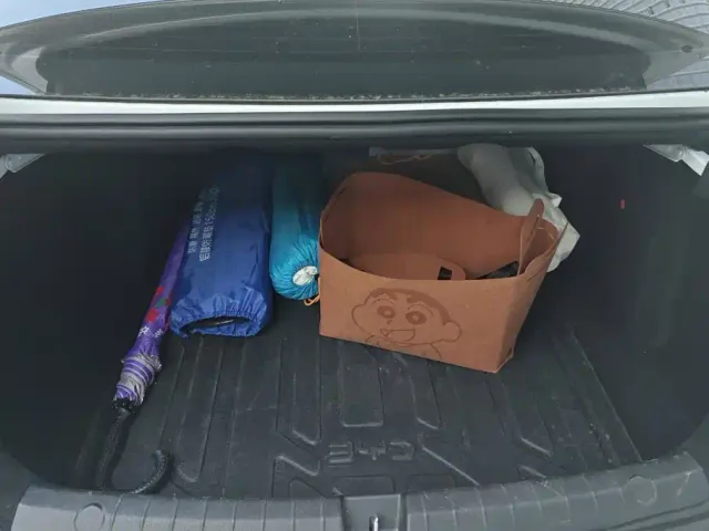 BYD Qin PLUS — Фото автомобиля 4