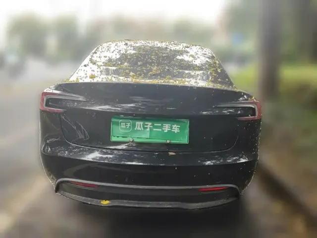 Tesla Model 3 — Фото автомобиля 3