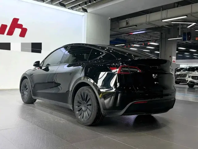 Tesla Model Y — Фото автомобиля 7