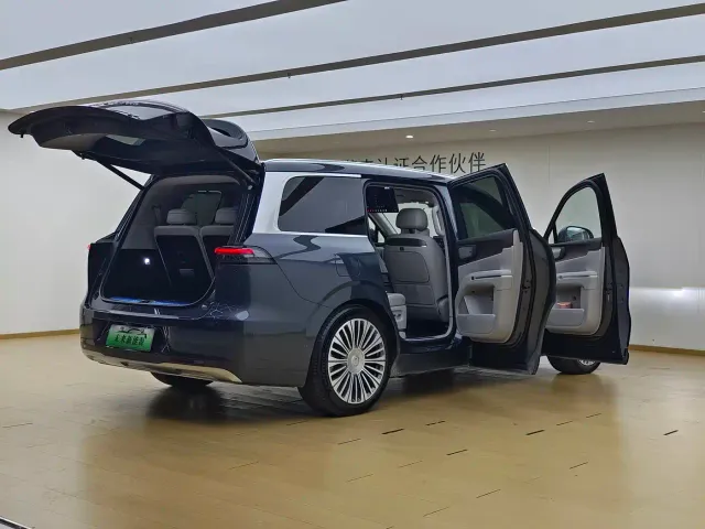 Leapmotor D Series — Фото автомобиля 9