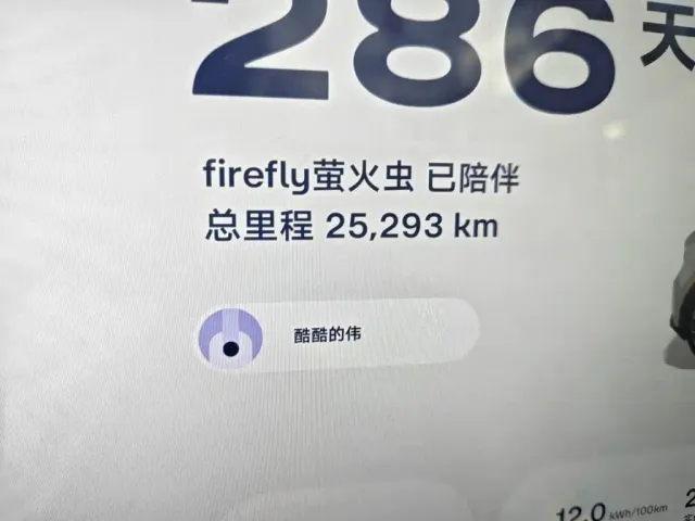 Firefly Firefly 2025 Luminescent Edition — Фото автомобиля 8