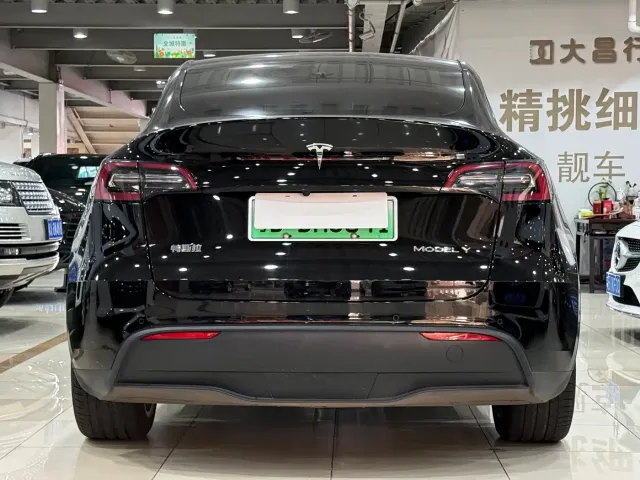 Tesla Model Y — Фото автомобиля 15