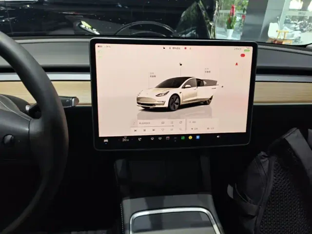 Tesla Model 3 — Фото автомобиля 12