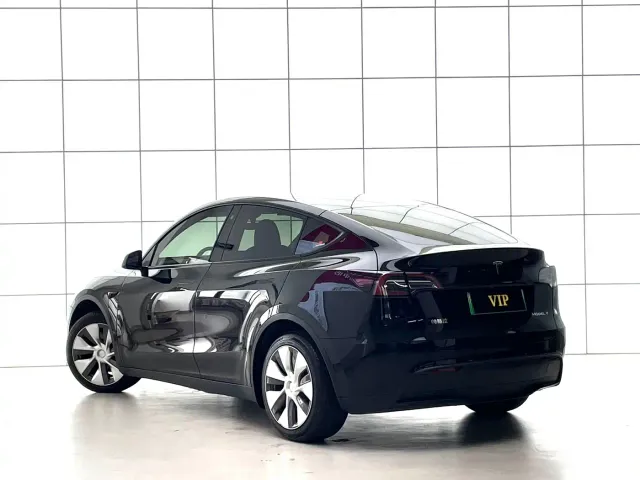 Tesla Model Y 2021 Standard Range Rear-Wheel Drive — Фото автомобиля 17
