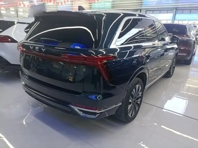 Wey Lanshan — Фото автомобиля 6