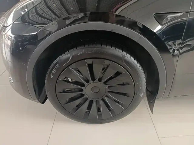 Tesla Model Y — Фото автомобиля 22