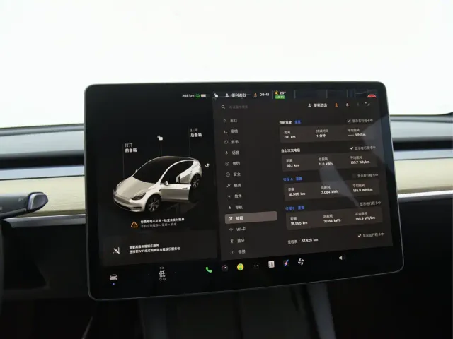 Tesla Model Y — Фото автомобиля 7