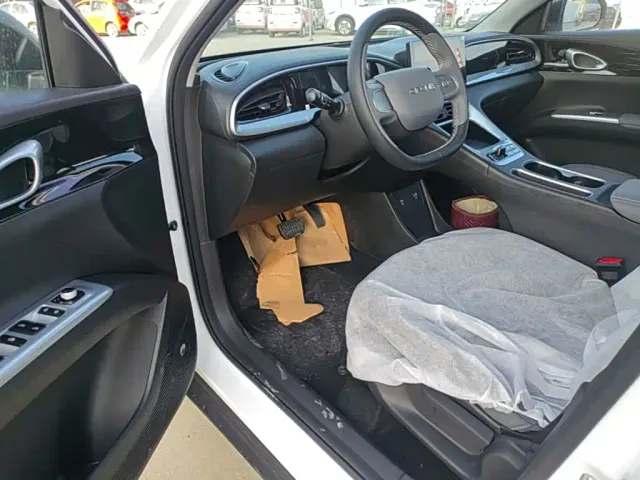 Geely Starry Wish — Фото автомобиля 15