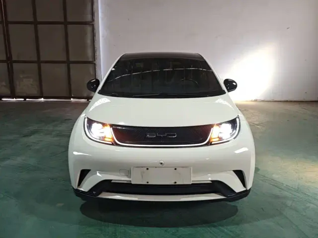 BYD Dolphin — Фото автомобиля 2