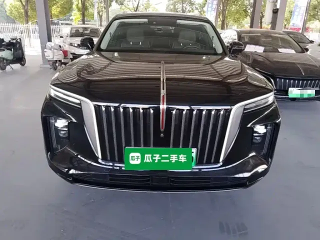 Hongqi E-HS9 — Фото автомобиля 2