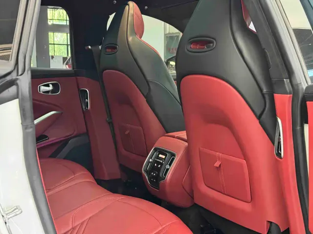 Aston Martin DBX — Фото автомобиля 14