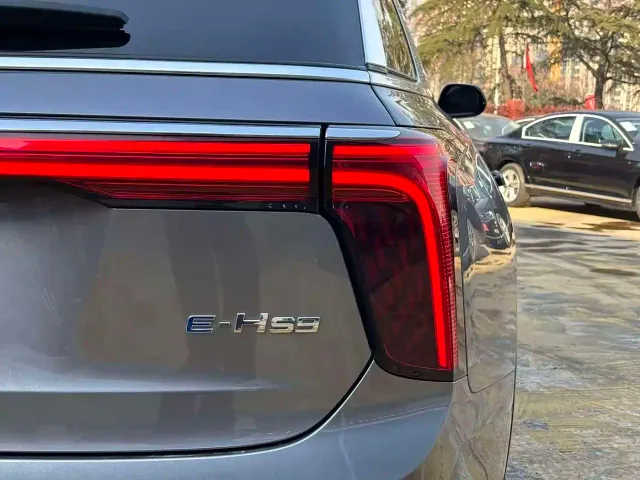 Hongqi E-HS9 — Фото автомобиля 15