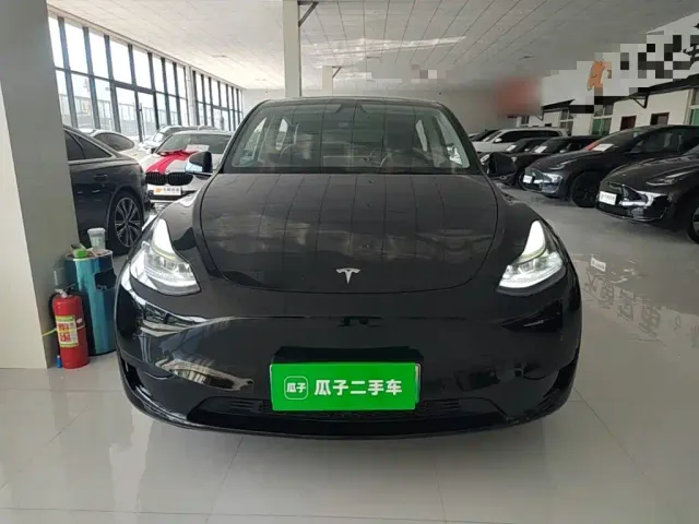 Tesla Model Y — Фото автомобиля 2