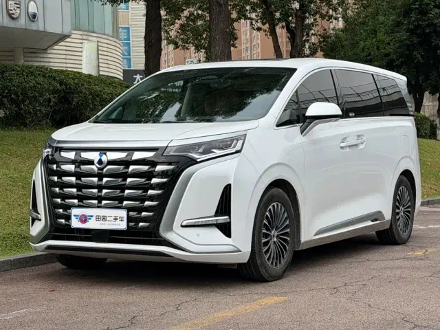 Фотография автомобиля — Denza D9