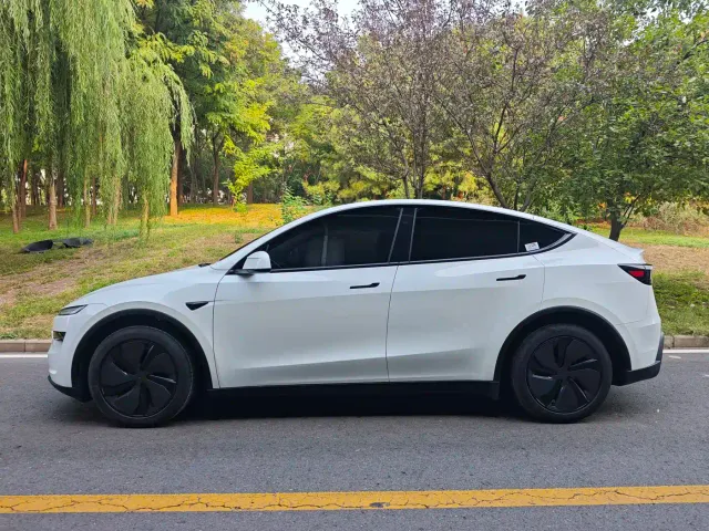 Tesla Model Y — Фото автомобиля 3