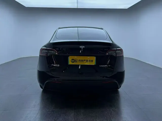 Tesla Model Y — Фото автомобиля 8