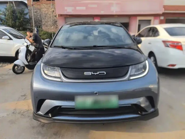 BYD Dolphin — Фото автомобиля 2