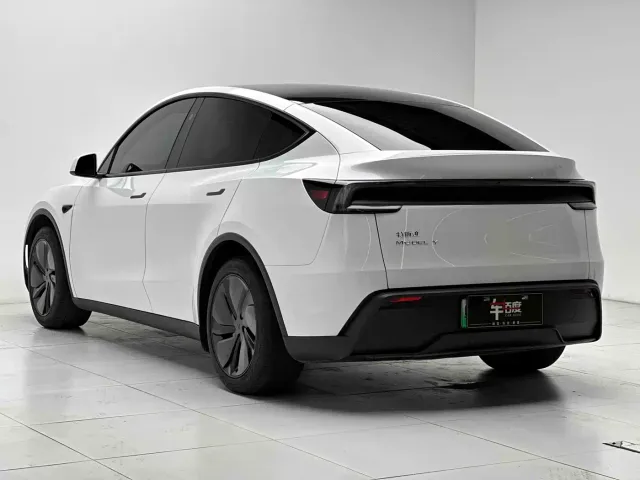 Tesla Model Y — Фото автомобиля 4