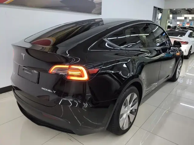 Tesla Model Y — Фото автомобиля 6