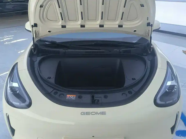 Geely Starry Wish — Фото автомобиля 10